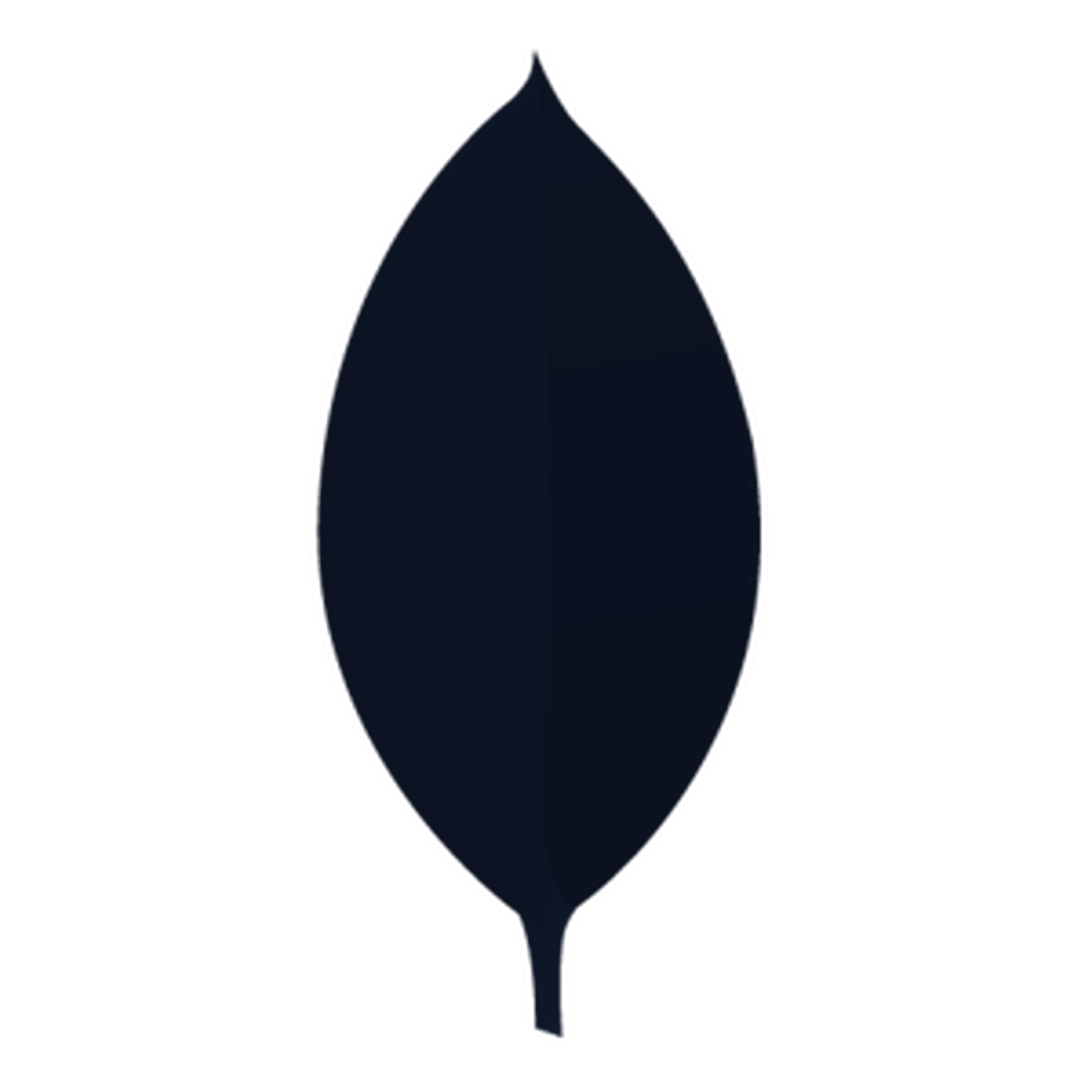 MongoDB